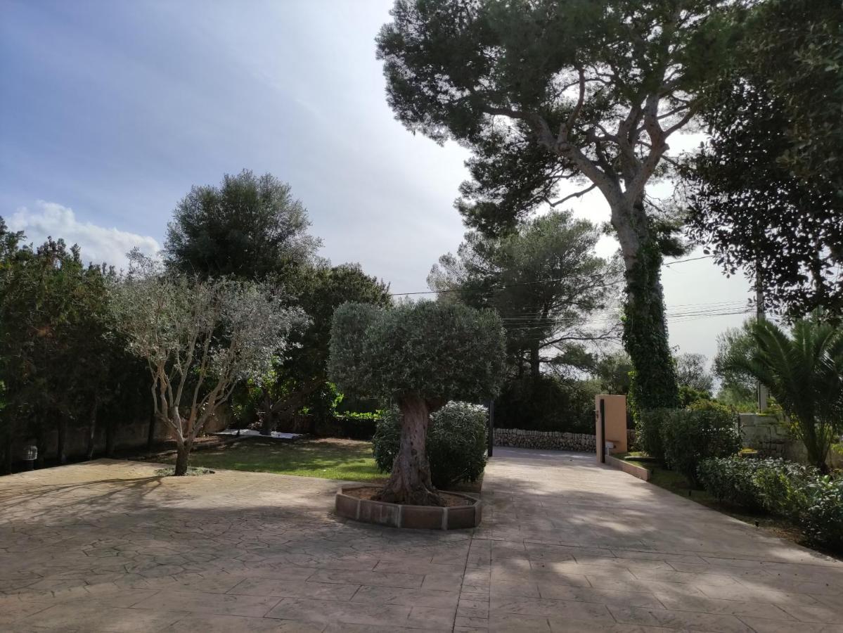 Villa Mestral Alcudia  Dış mekan fotoğraf